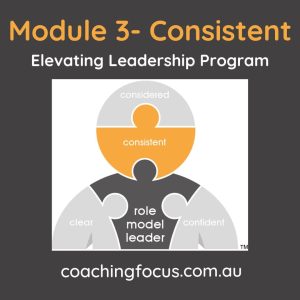 Coach Certification Program – Module 3 of Elevating Leadership Program